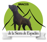 BRACOS ALEMANES DE LA SIERRA ESPADAN